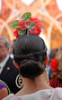 Mujer andaluza en la Feria, fiesta Mujer andaluza en la Feria, fiesta