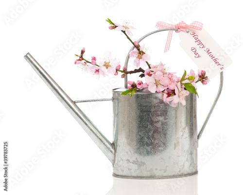 Foto: Mothers Day Watering Can Mothers Day Watering Can