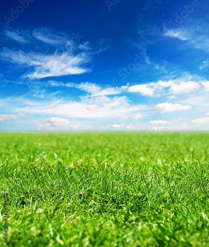 Photo: blue sky green grass blue sky green grass