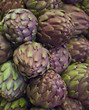 big artichokes on display