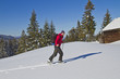 Foto: Skitourengeher beim Aufstieg Skitourengeher beim Aufstieg