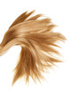 healthy hair