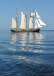 Albatros