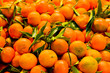 market tangerine