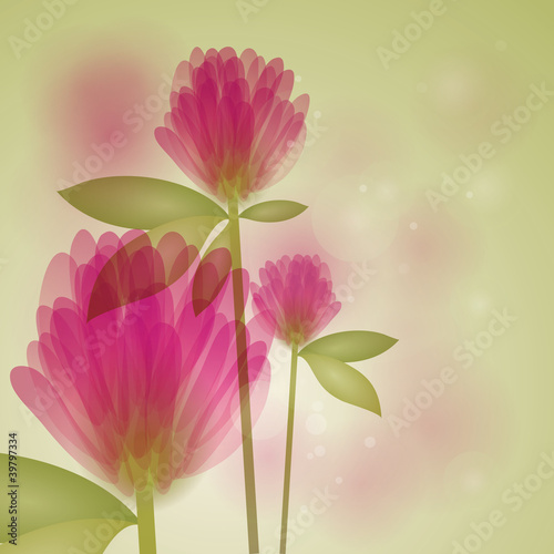 Vektor: Clover / Floral fresh background Clover / Floral fresh background