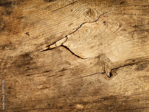 Photo: wooden background wooden background