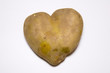 Photo: Sweetheart Sweetheart