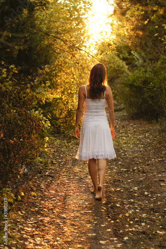 Photo: Mysterious path Mysterious path