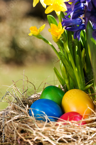 Foto: Colorful easter eggs outdoor Colorful easter eggs outdoor