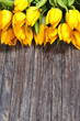 yellow tulips