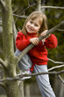Photo: tree tree