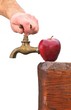 Apple juice.