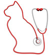 Cat-shaped stethoscope Cat-shaped stethoscope