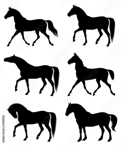 Vector: Horse Horse