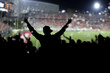 Crowd on the stadium