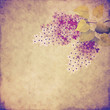 vintage lilac branch