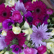 Colorful variety of flowers