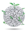 Young sprout from cracked sphere