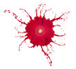 red flower
