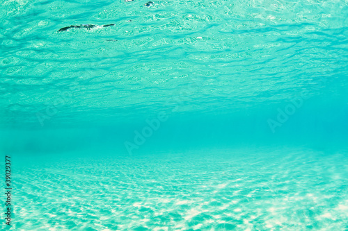 Photo: background underwater ocean pool florida Caribbean background underwater ocean pool florida Caribbean