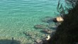 REFLEJOS EN EL AGUA