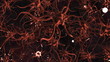 CG Graphic of Neuron Cells
