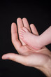 Newborn foot in an adult hand