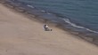Video: Hombre leyendo en la orilla del mar Hombre leyendo en la orilla del mar