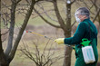 Using chemicals in the garden/orchard