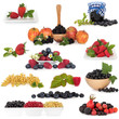 Berry Fruit Collection