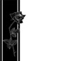 Kondolenzkarte mit Rose und Trauerrand