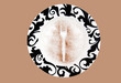 fork imprint on a plate. studio shot