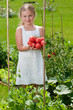 Vegetable garden - lovely girl with picked ripe tomatoes