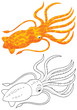 Cuttlefish