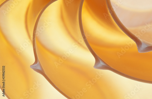 Photo: Nautilus shell Nautilus shell