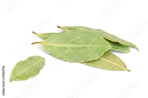 Photo: Bay Leaves isolated on white background. Bay Leaves isolated on white background.