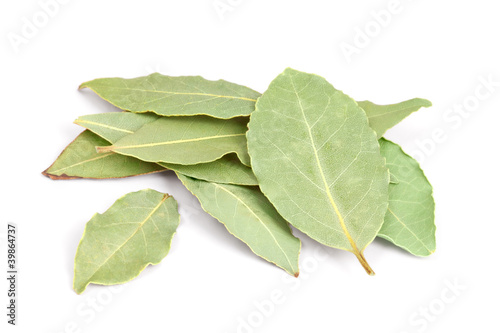 Photo: Bay Leaves isolated on white background. Bay Leaves isolated on white background.