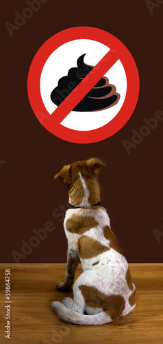 Illustration: No Poop. No Poop.