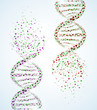 DNA molecule