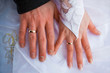 bride and groom's rings on the white