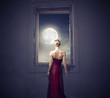 Under the moonlight