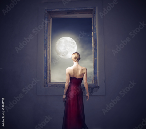 Foto: Under the moonlight Under the moonlight
