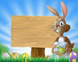 Easter bunny rabbit background