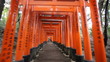 walking in fushimi inari shrine,Kyoto, Japan