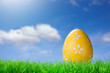 Color easter egg in the grass on blue