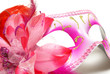 Photo: Venetian Mask Venetian Mask