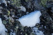 neige sur un rochet