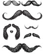 Hand drawn mustache set