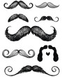 Hand drawn mustache set