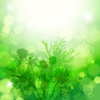 Floral green background. Floral green background.